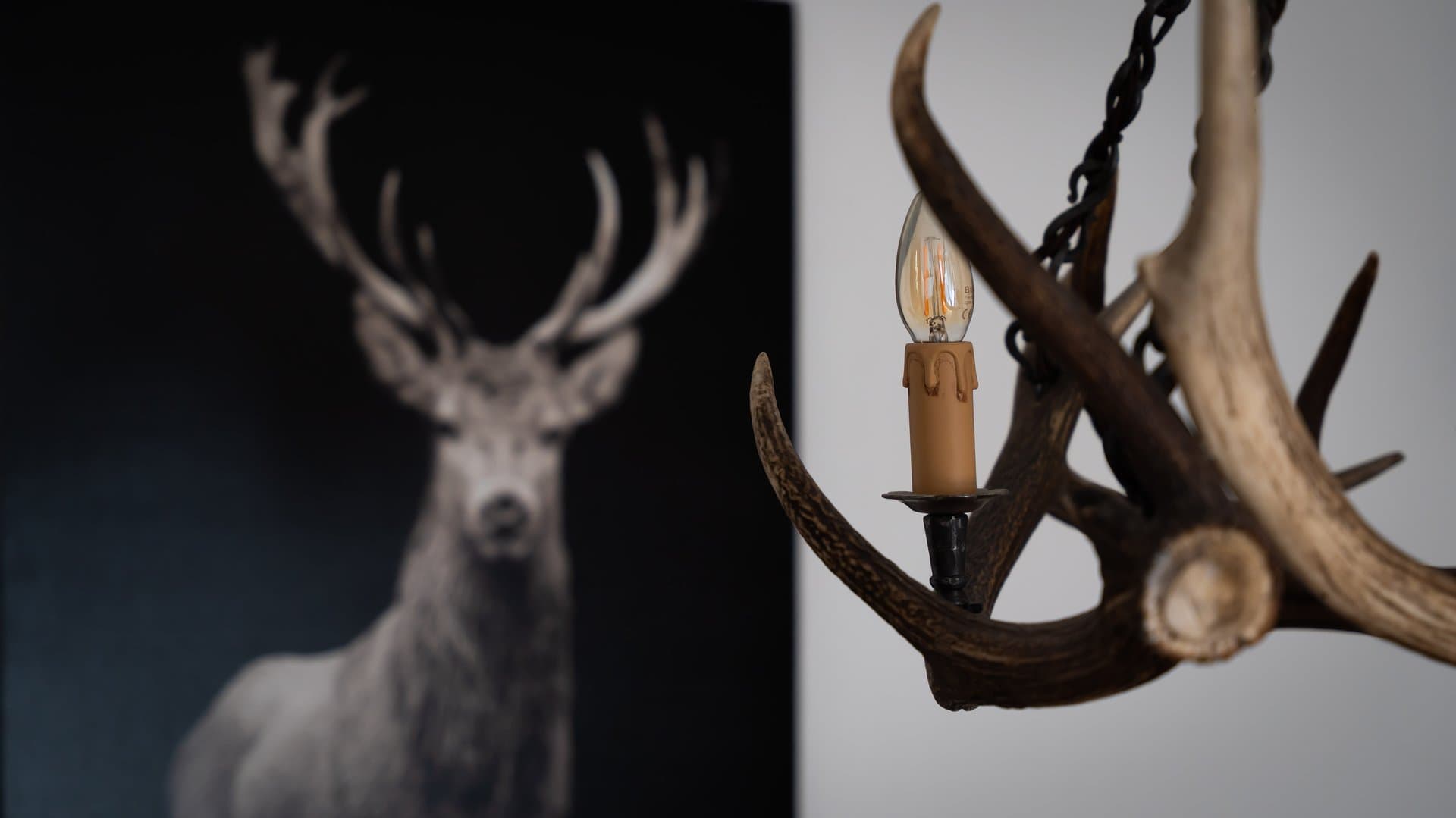 real estate via_25aprile_25